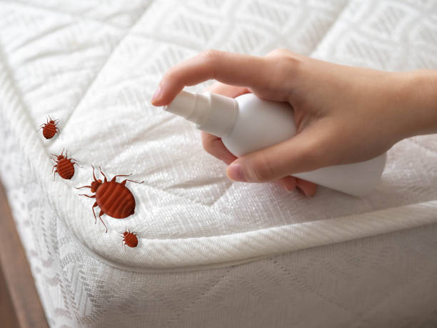 Best Indoor Pest Control  in Mendota, IL